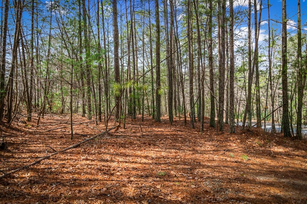 Lot 2326 Faraday Drive, Ellijay GA 30540 - Photo