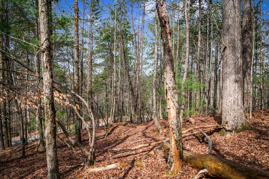 Lot 2326 Faraday Drive, Ellijay GA 30540 - Photo
