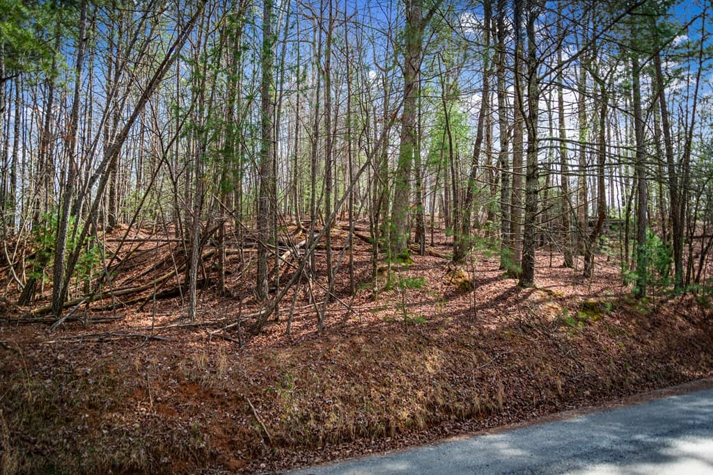 Lot 2326 Faraday Drive, Ellijay GA 30540 - Photo