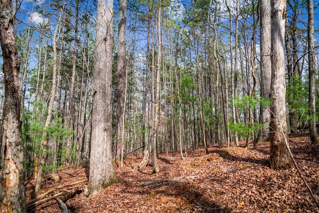 Lot 2326 Faraday Drive, Ellijay GA 30540 - Photo