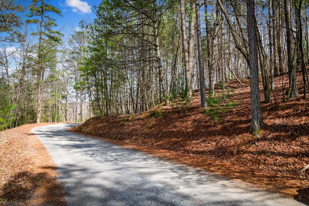 Lot 2326 Faraday Drive, Ellijay GA 30540 - Photo