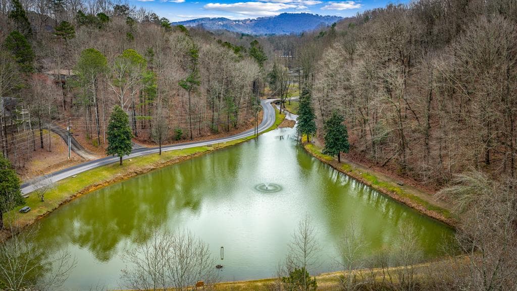 Lot 2326 Faraday Drive, Ellijay GA 30540 - Photo