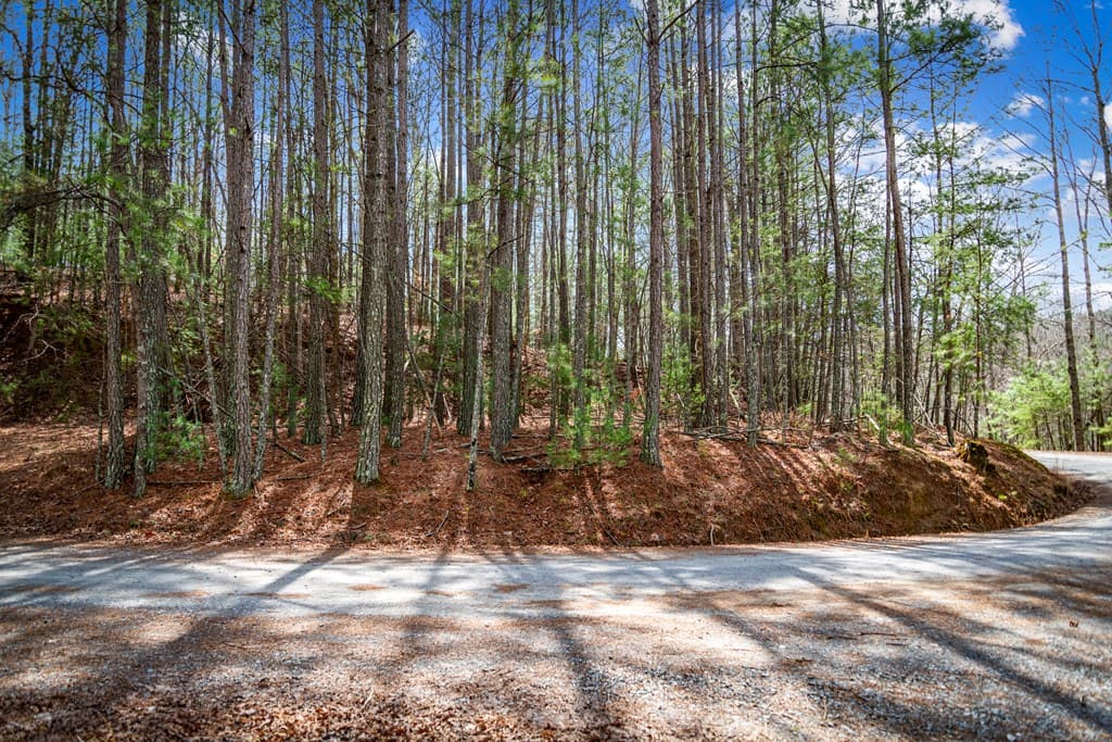 Lot 2326 Faraday Drive, Ellijay GA 30540 - Photo