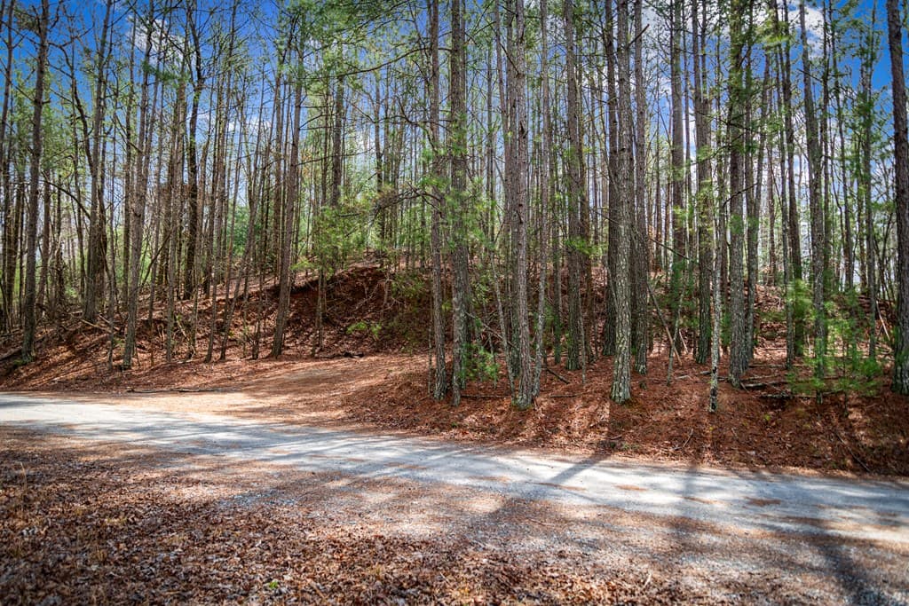 Lot 2326 Faraday Drive, Ellijay GA 30540 - Photo