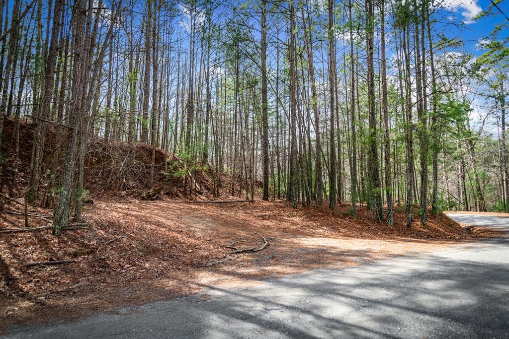 Lot 2326 Faraday Drive, Ellijay GA 30540 - Photo