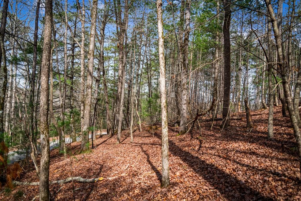 Lot 2326 Faraday Drive, Ellijay GA 30540 - Photo