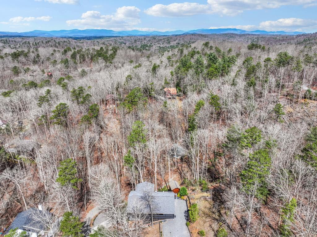 62 Cannon Court, Ellijay GA 30540 - Photo
