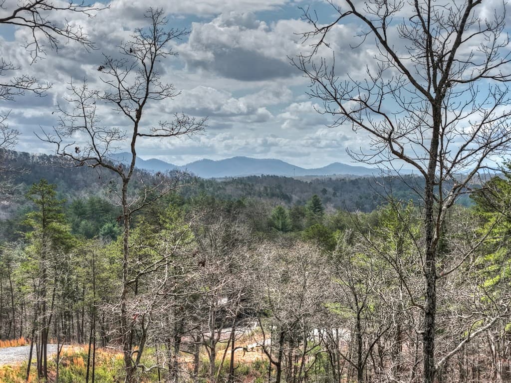 386 Mountain Laurel Ridge, Mineral Bluff GA 30559 - Photo