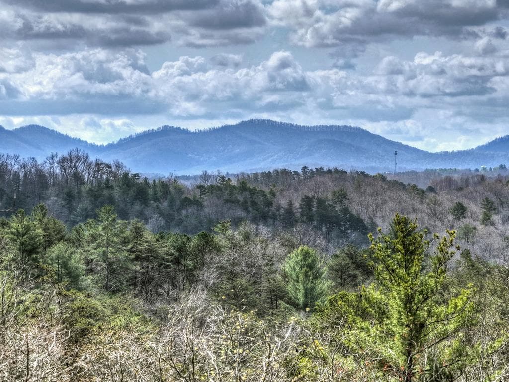 386 Mountain Laurel Ridge, Mineral Bluff GA 30559 - Photo