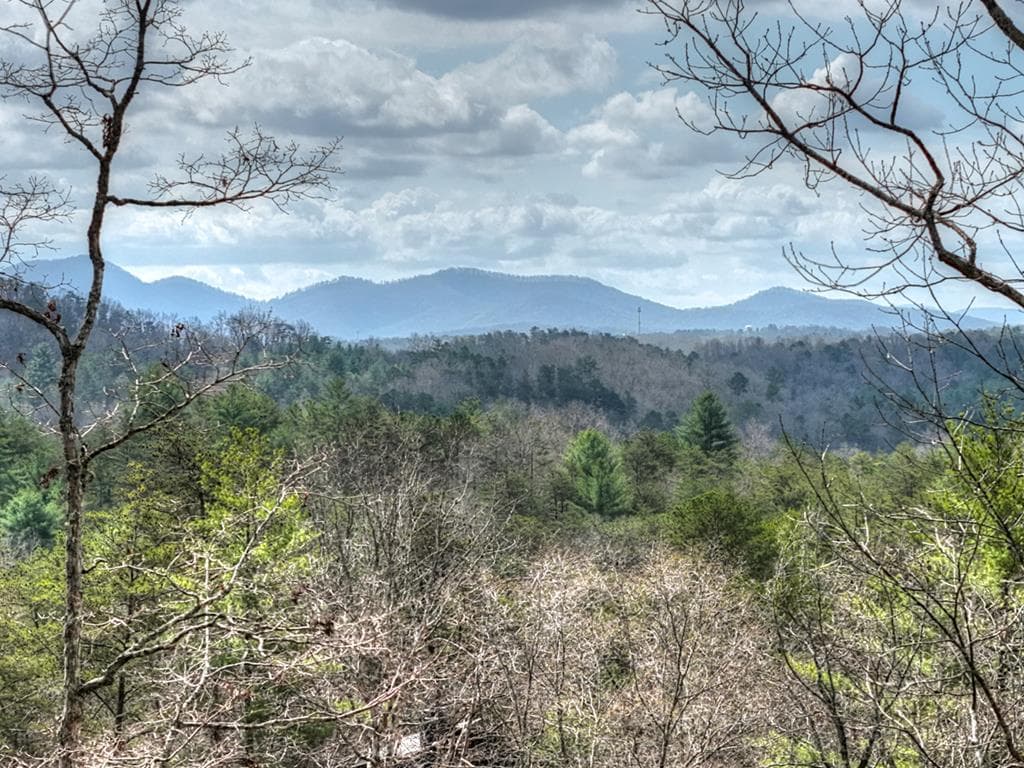 386 Mountain Laurel Ridge, Mineral Bluff GA 30559 - Photo