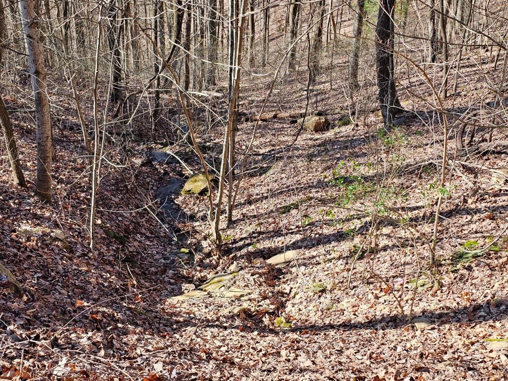 Lot 67 Wilderness Creek Way, Hothouse NC 28906 - Photo