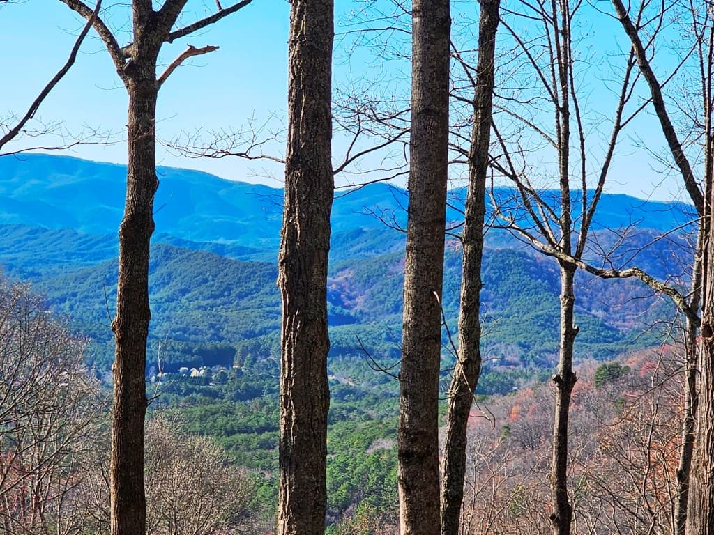 Lot 67 Wilderness Creek Way, Hothouse NC 28906 - Photo