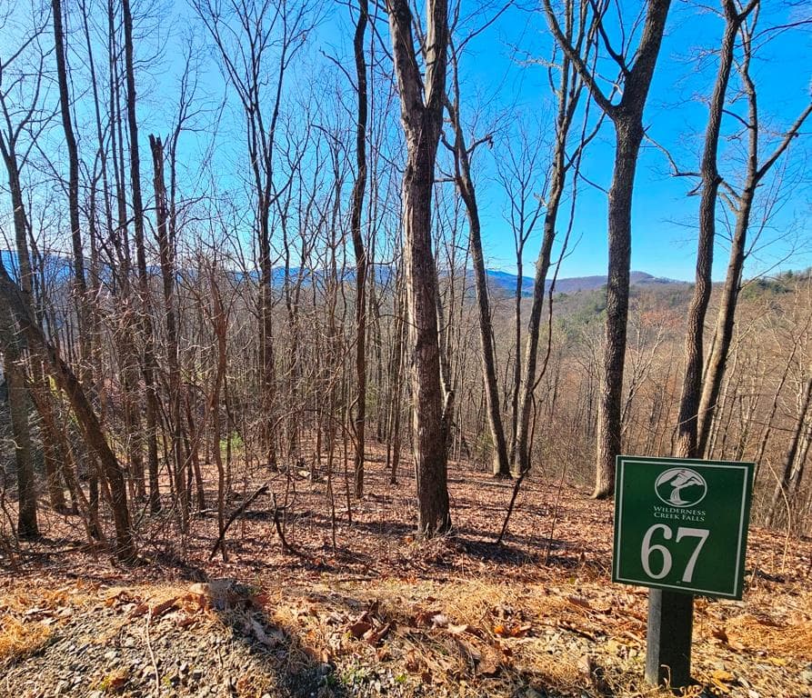 Lot 67 Wilderness Creek Way, Hothouse NC 28906 - Primary photo