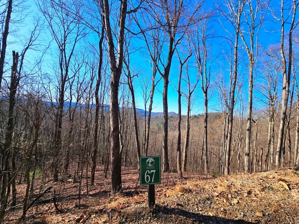 Lot 67 Wilderness Creek Way, Hothouse NC 28906 - Photo