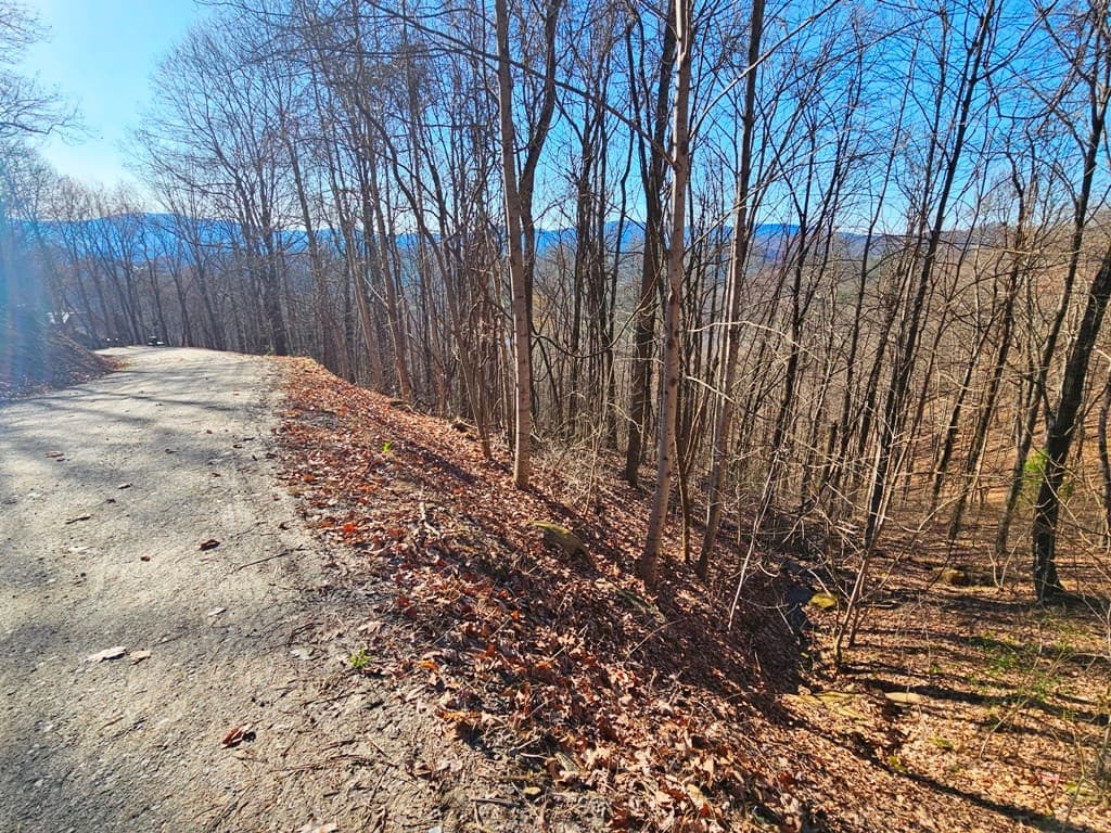Lot 67 Wilderness Creek Way, Hothouse NC 28906 - Photo