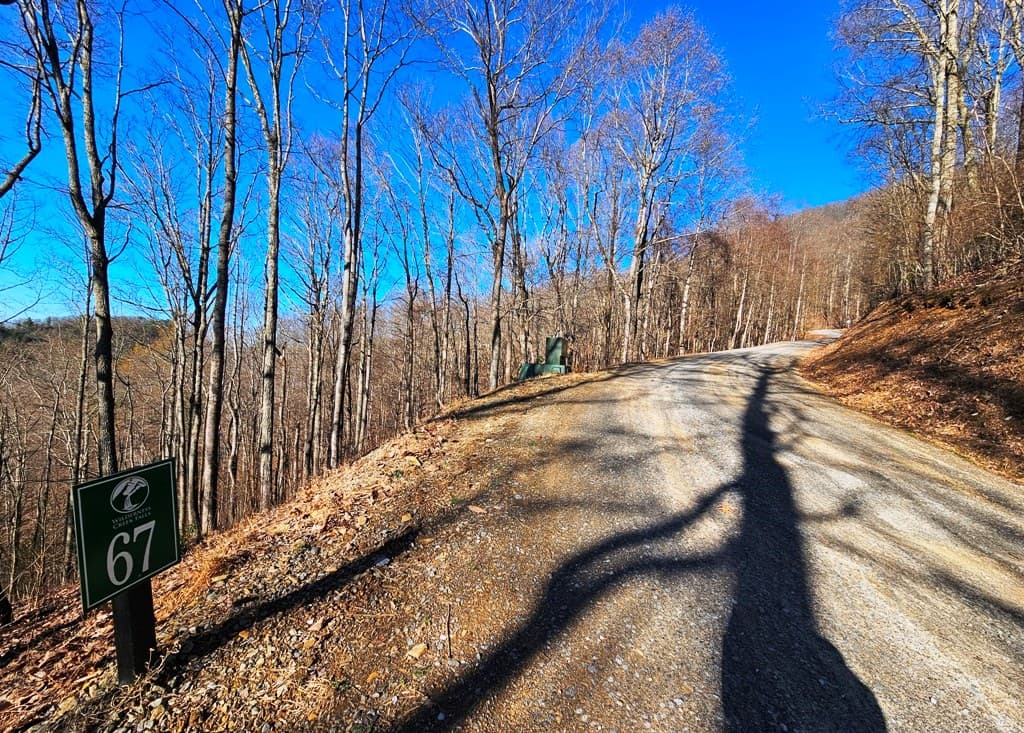 Lot 67 Wilderness Creek Way, Hothouse NC 28906 - Photo