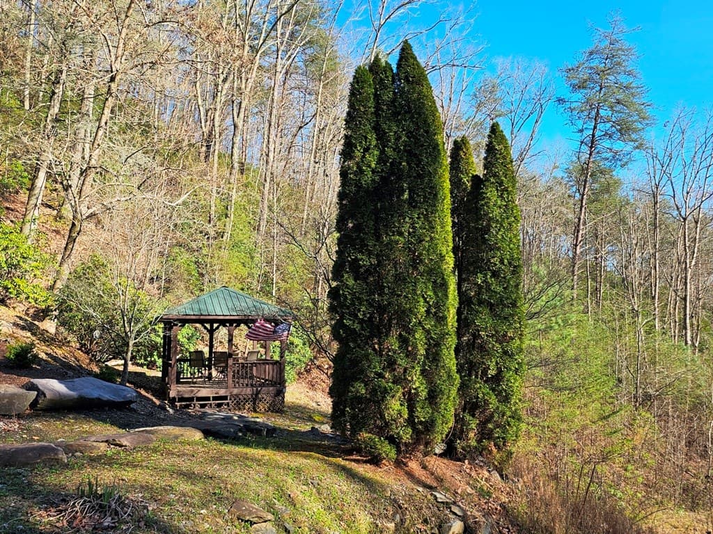 Lot 67 Wilderness Creek Way, Hothouse NC 28906 - Photo