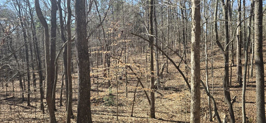 Tract 2 Friendship Trail, Talking Rock GA 30175 - Photo