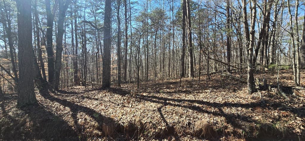 Tract 2 Friendship Trail, Talking Rock GA 30175 - Photo