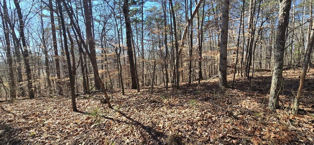 Tract 2 Friendship Trail, Talking Rock GA 30175 - Photo