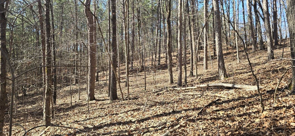 Tract 2 Friendship Trail, Talking Rock GA 30175 - Photo
