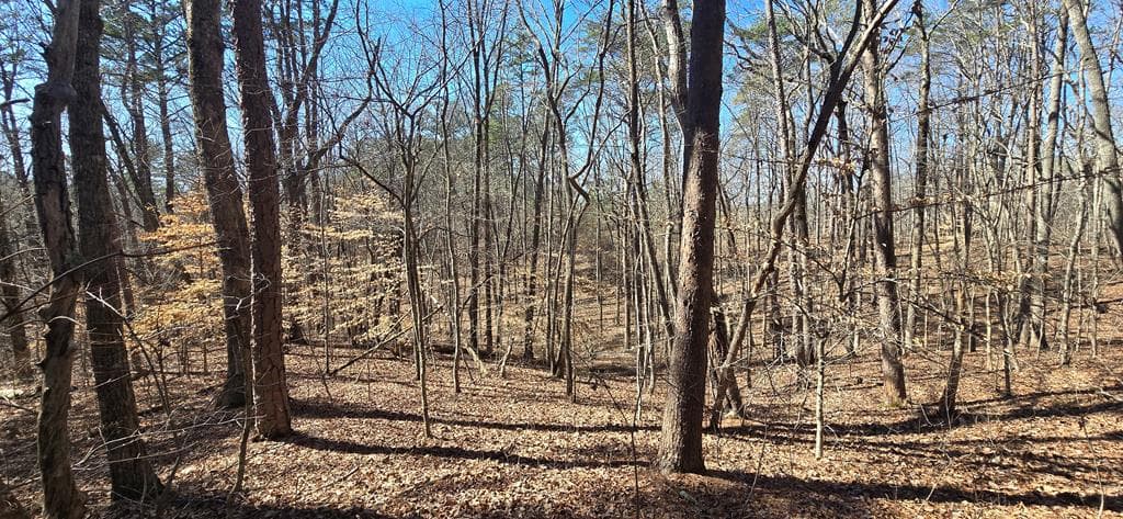 Tract 2 Friendship Trail, Talking Rock GA 30175 - Primary photo