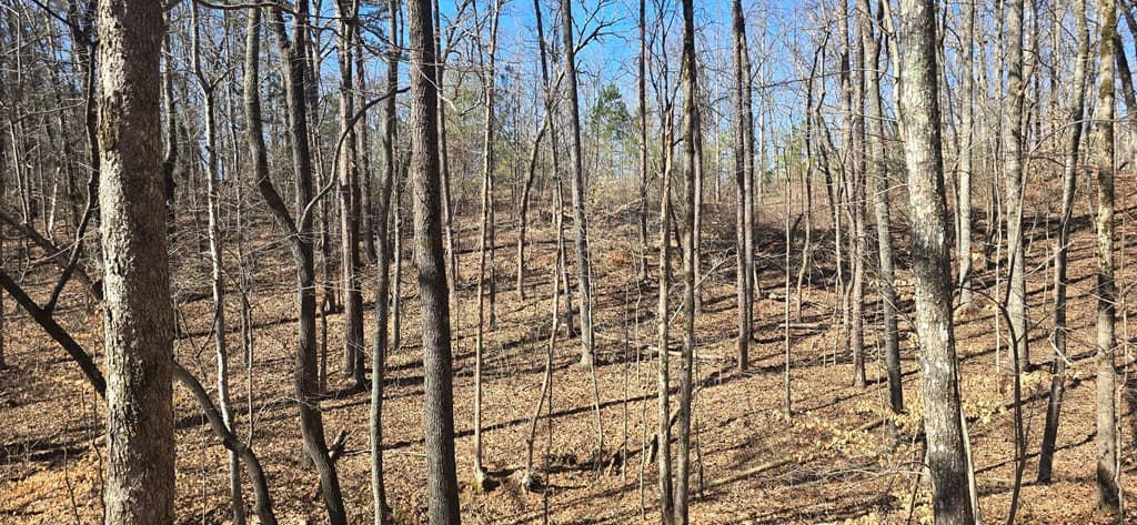 Tract 2 Friendship Trail, Talking Rock GA 30175 - Photo