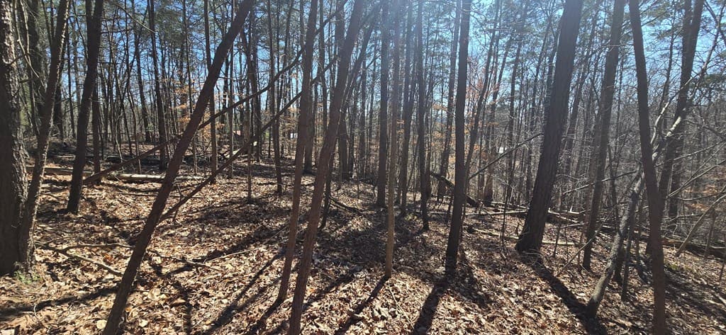 Tract 2 Friendship Trail, Talking Rock GA 30175 - Photo