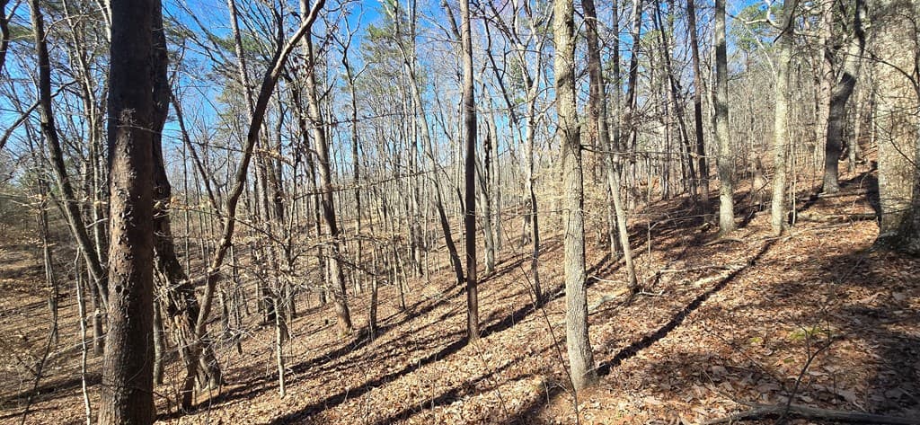 Tract 2 Friendship Trail, Talking Rock GA 30175 - Photo