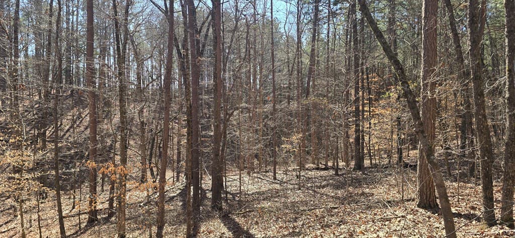 Tract 2 Friendship Trail, Talking Rock GA 30175 - Photo