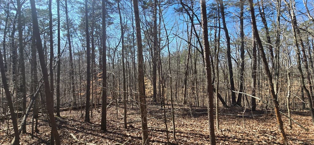 Tract 2 Friendship Trail, Talking Rock GA 30175 - Photo