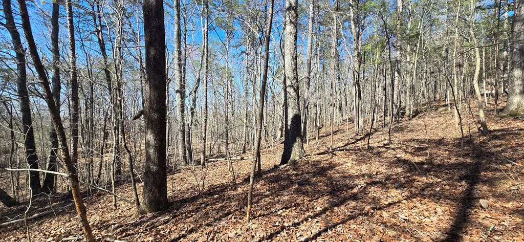 Tract 2 Friendship Trail, Talking Rock GA 30175 - Photo