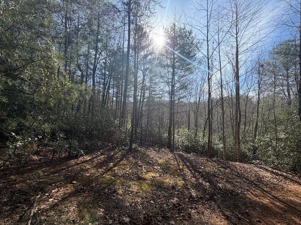 5 Acres Frogtown Place, Dahlonega GA 30533 - Photo