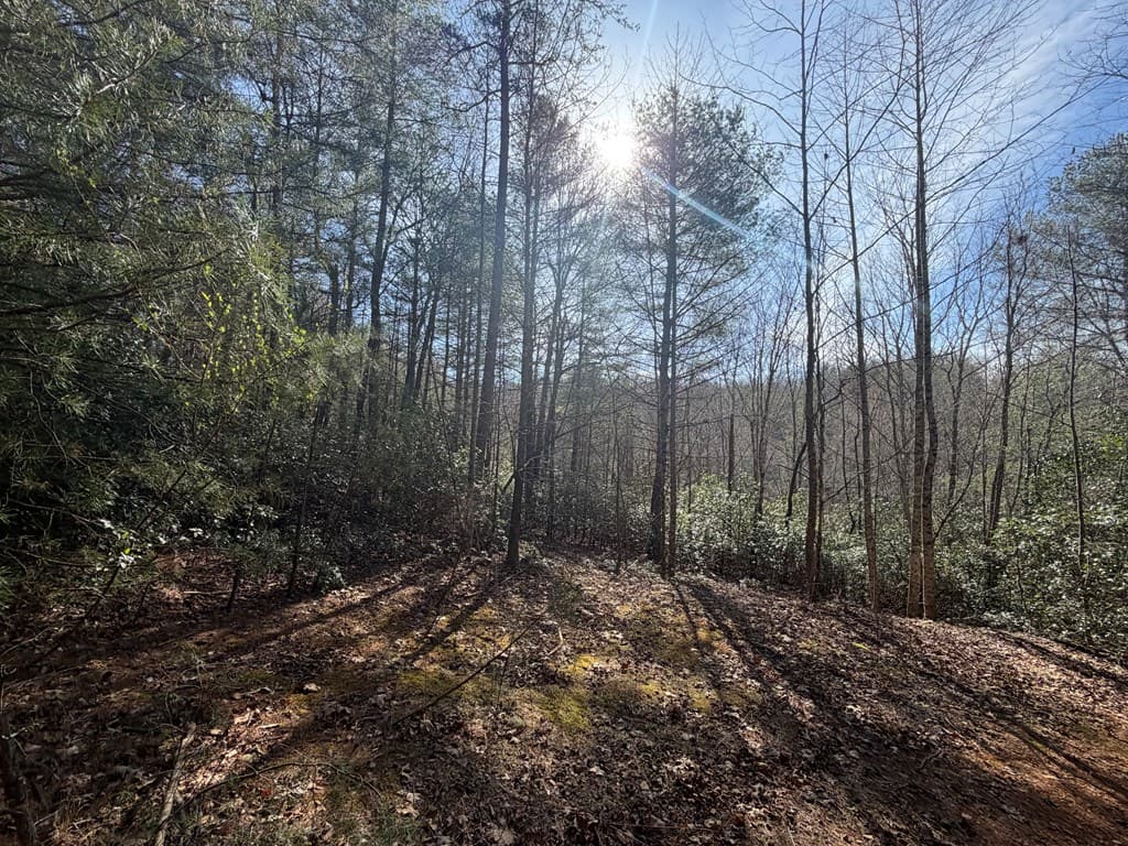 5 Acres Frogtown Place, Dahlonega GA 30533 - Photo