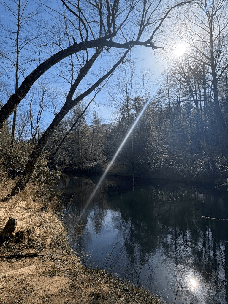 5 Acres Frogtown Place, Dahlonega GA 30533 - Photo