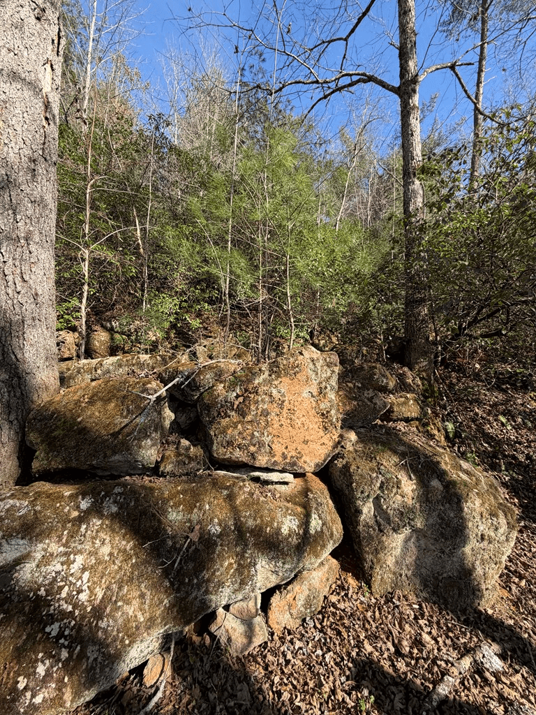5 Acres Frogtown Place, Dahlonega GA 30533 - Photo