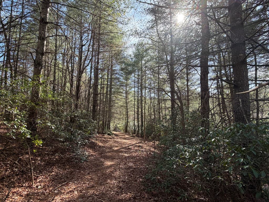 5 Acres Frogtown Place, Dahlonega GA 30533 - Photo