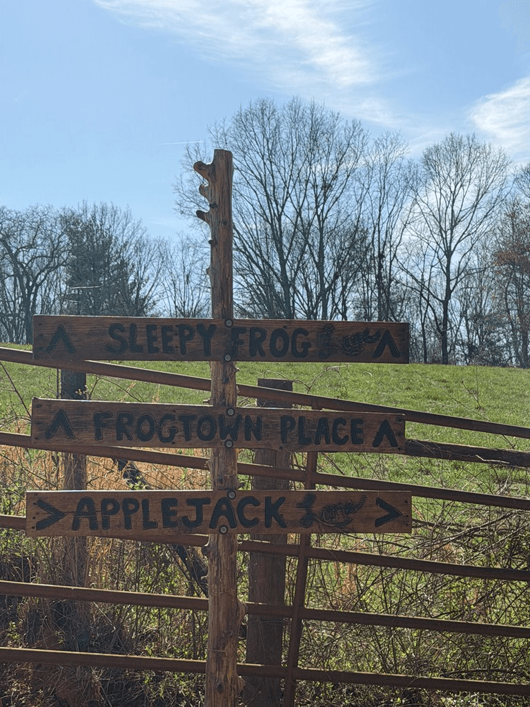 5 Acres Frogtown Place, Dahlonega GA 30533 - Photo