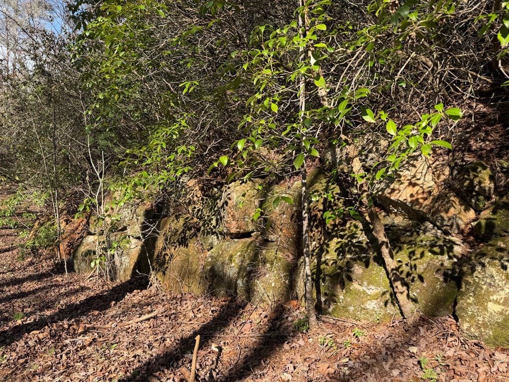 5 Acres Frogtown Place, Dahlonega GA 30533 - Photo