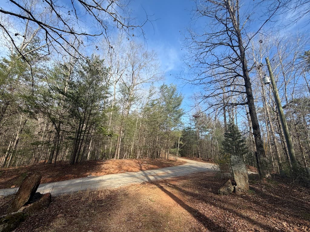 5 Acres Frogtown Place, Dahlonega GA 30533 - Photo
