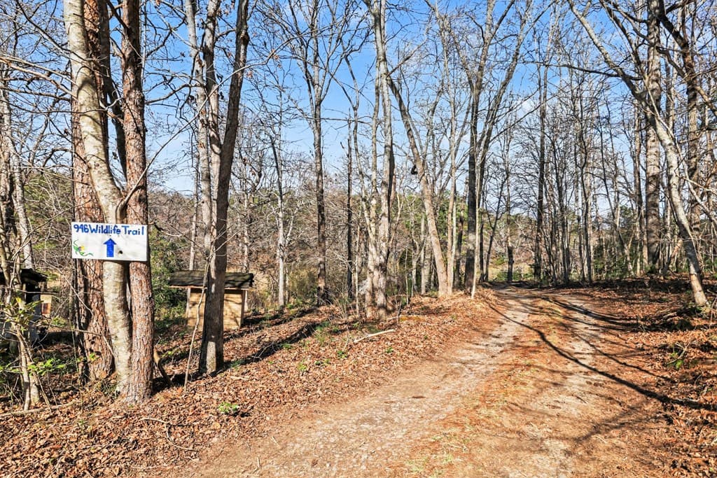 595 N Wildlife Trail, Morganton GA 30560 - Photo