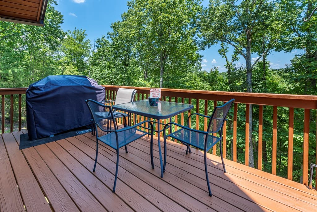 1328 Birch Lane, Ranger GA 30734 - Photo