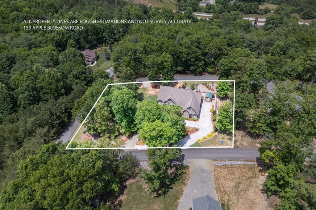 159 Apple Blossom Road, Blairsville GA 30512 - Photo