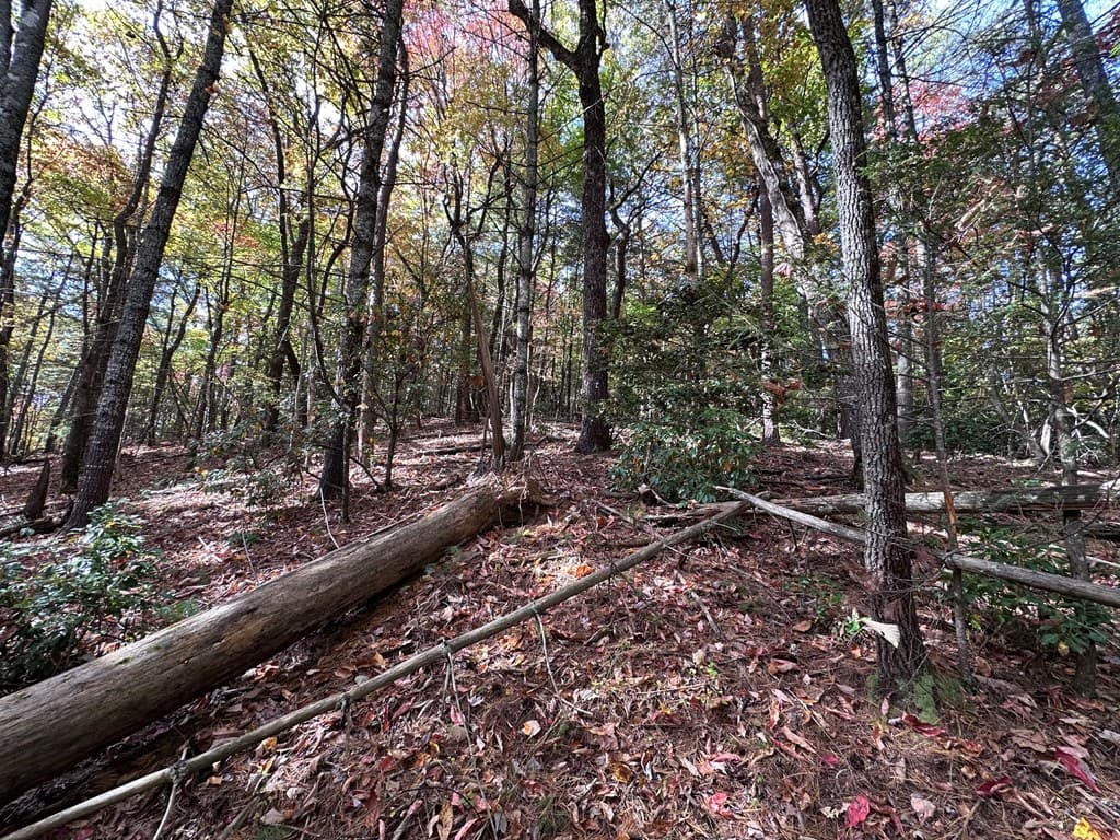 TBD Atoah Loop, Murphy NC 28906 - Photo