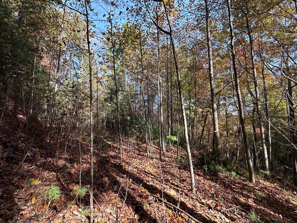 TBD Atoah Loop, Murphy NC 28906 - Photo