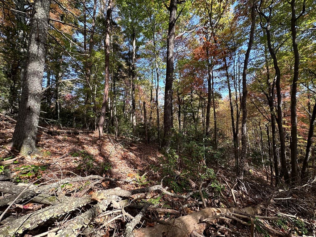 TBD Atoah Loop, Murphy NC 28906 - Photo