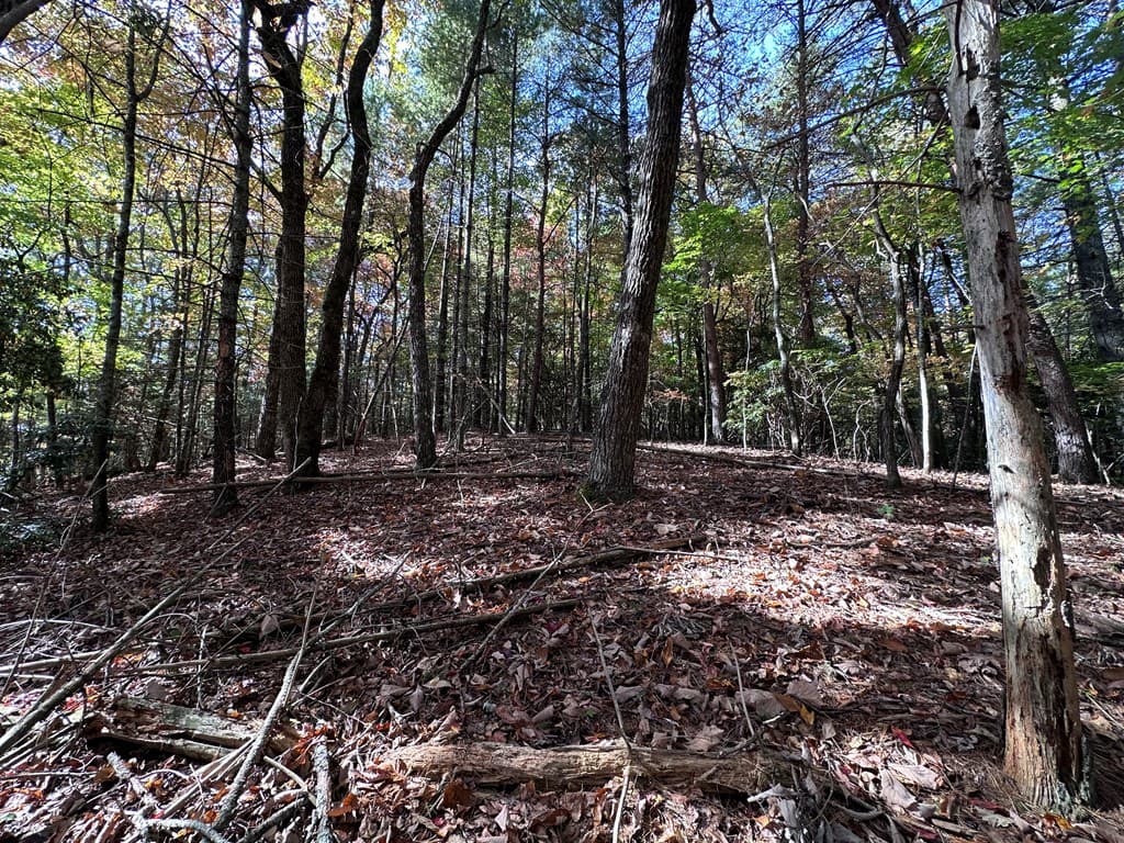 TBD Atoah Loop, Murphy NC 28906 - Photo
