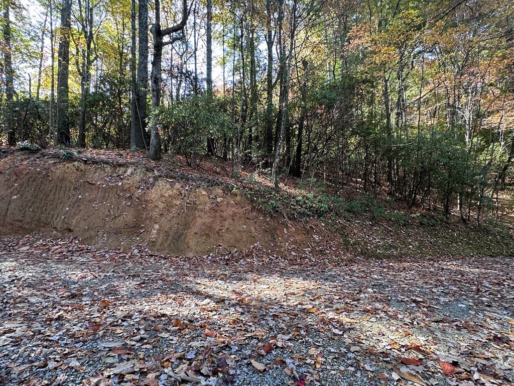 TBD Atoah Loop, Murphy NC 28906 - Photo