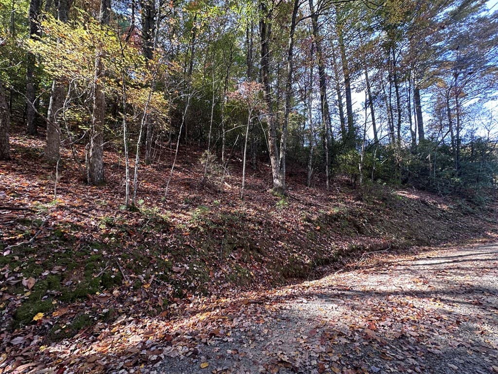 TBD Atoah Loop, Murphy NC 28906 - Photo