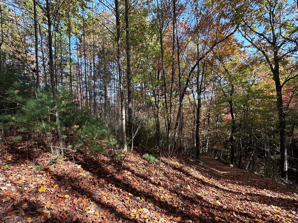TBD Atoah Loop, Murphy NC 28906 - Photo